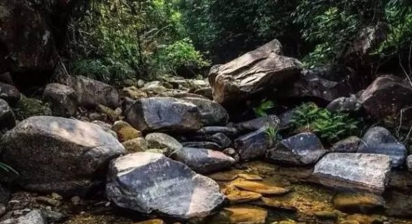 化州播扬扶荫地，那些你不知道的传说